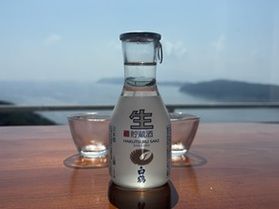 暑い日にぴったりなお酒ーみぞれ酒ー