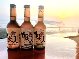 この夏飲みたいクラフトビール！
