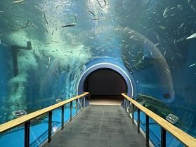 琵琶湖博物館