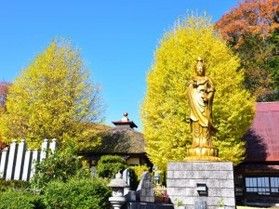 【蒜山イベント情報】福王寺 御縁日(ごえんにち)開催