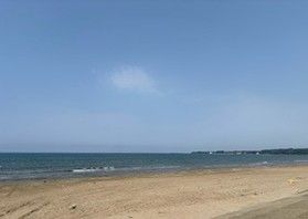 休暇村能登千里浜の近くに自生している植物をご紹介します