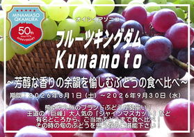 本日から!お好きなぶどうに出会える!ぶどうの食べ比べ!