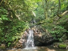 神秘的な自然に癒される「段の白滝」へ