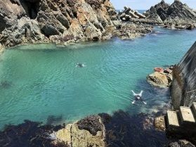 【久慈】「北限の海女」を見に行こう！
