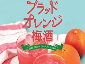 ブラッドオレンジ梅酒をご存知ですか?