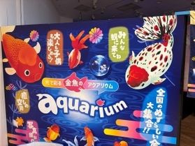 金魚のアクアリウムがやってきた!