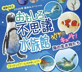 夏休みのおでかけにおすすめ!「おもしろ不思議水族館」開催♪