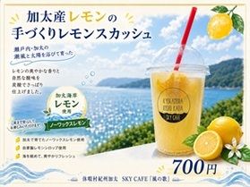 夏にぴったり!加太産レモンスカッシュ🍋