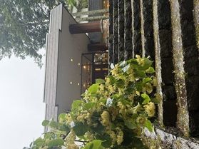 シナの木とアイヌ文化