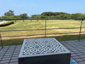 雑草魂 ~暑くても雑草はへこたれない~
