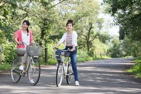 whats about rental cycle?