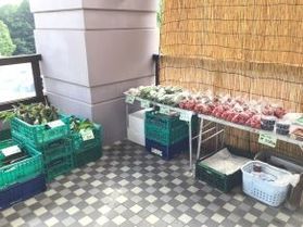 毎年恒例の直売所「白樺マルシェ」お盆期間中は毎日開催!