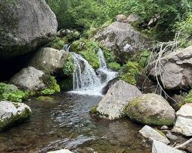 小林の渓流釣行記【ハイシーズン到来】