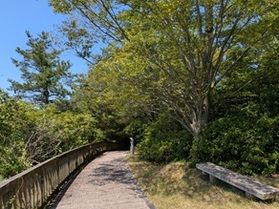自然で心も体もリフレッシュ!休暇村讃岐五色台のお散歩道