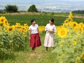 8/12OPEN夏の絶景!月山高原に広がる「ひまわり畑」へ♪