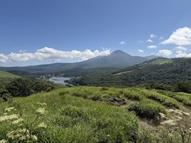 涼やかな夏の信州へ 山の景色を巡る旅