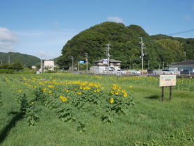 今日の弓ヶ浜 Today's Yumigahama