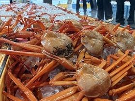 秋のご案内♪