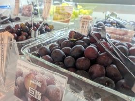 宿泊して旬の味覚を心ゆくまで楽しんでください♪