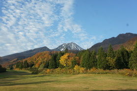 一足早く紅葉情報お伝えします