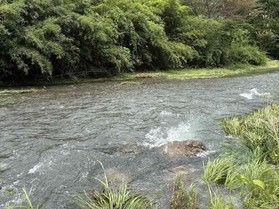 8/13からの大雨での道路状況は現在問題ございません