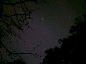 星のソムリエたより（＾∀＾）♪