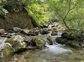 小林の渓流釣行記【浪漫を求めて】