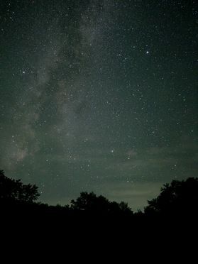 ブナの森天然プラネタリウム