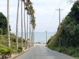 南国気分を味わえる絶景スポット「太平洋ロングビーチ」