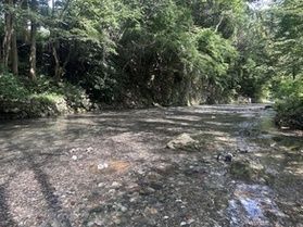 夏から秋へ。<br>奥武蔵の9月がはじまります