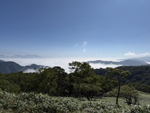 旅の前にちょっと役立つ、2つのご案内