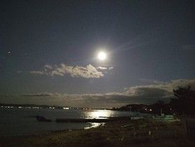 月と望遠鏡