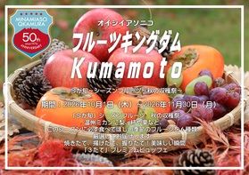 ［10・11月限定］旬のフルーツ6種食べ比べ
