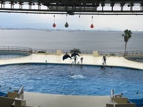 マリンワールド海の中道に行ってきました!