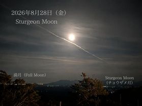 ✨今月の満月は…✨