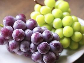 9月のおすすめプランのご案内♪