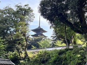 妙成寺(みょうじょうじ)までの交通情報