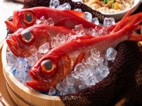 9月からスタート!秋の味覚を楽しむ「金目鯛と秋の味覚フェア」