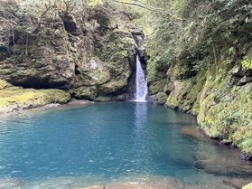 「仁淀ブルー」絶景の滝 ~にこ淵~