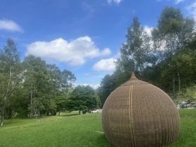 涼を感じに・・・🌳