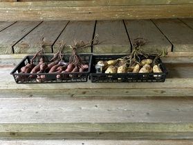 利右衛門を祀る神社、徳光神社