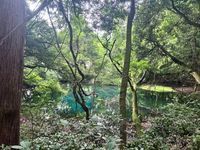 神秘の泉に魅せられる庄内屈指の泉