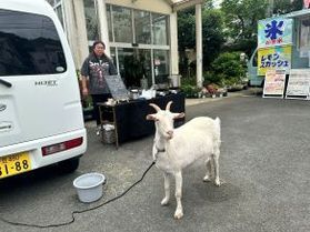 一年中楽しめるところのご紹介