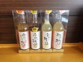 売店で販売している果実酒についてご紹介いたします🍊