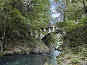 【住田町】森の中の「めがね橋」