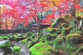 八幡周辺は紅葉のメッカ