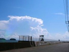 秋のおすすめは島探訪！　グルメの島『日間賀島』がアツい☆
