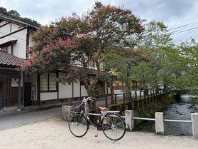 いつもと違う、城崎温泉での休日