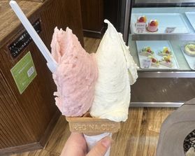 ジェラートがおいしいお店°˖✧