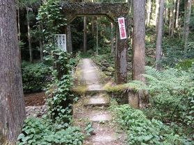 涼しげな場所を探しに行きました